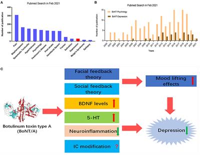 Frontiers | Botulinum Neurotoxin Therapy For Depression: Therapeutic ...